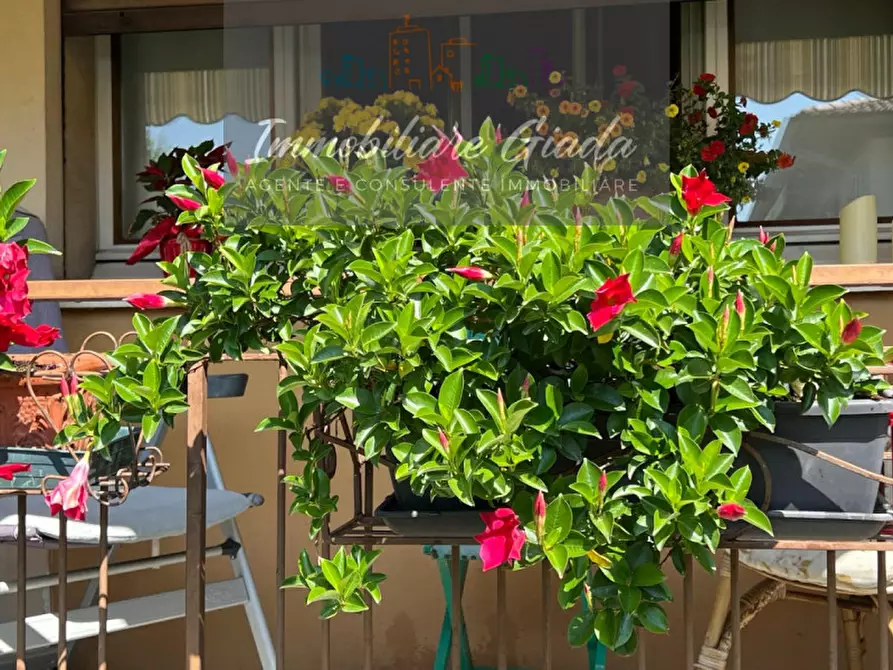 Immagine 9 di Casa indipendente in vendita  a Vittorio Veneto