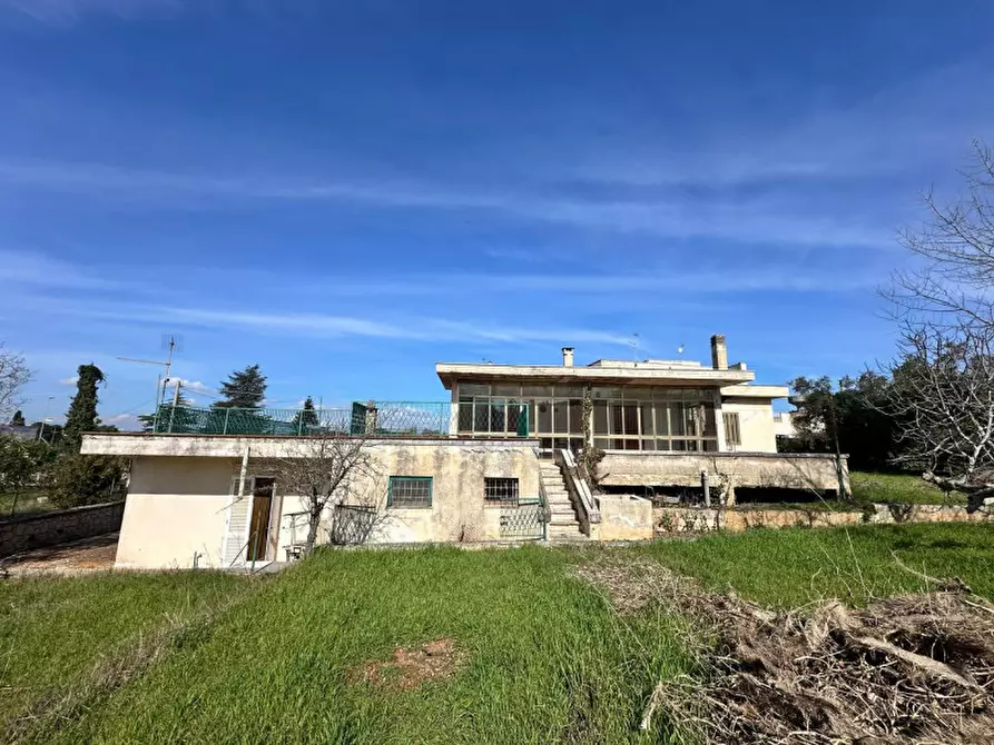 Immagine 5 di Villa in vendita  in via monti del duca a Martina Franca