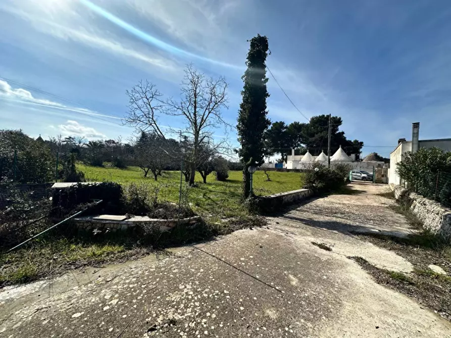 Immagine 12 di Villa in vendita  in via monti del duca a Martina Franca