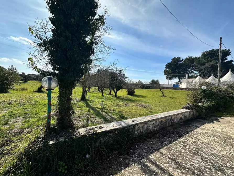 Immagine 14 di Villa in vendita  in via monti del duca a Martina Franca