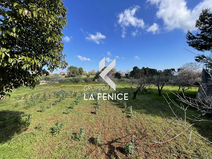 Immagine 58 di Casa indipendente in vendita  in C.da Mancinella a Locorotondo