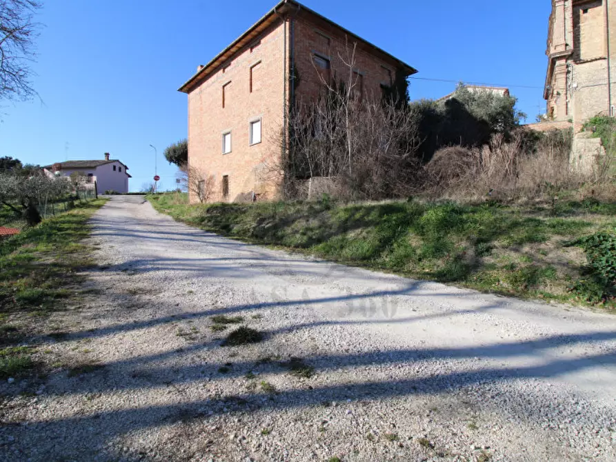 Immagine 3 di Casa indipendente in vendita  a Montecastrilli