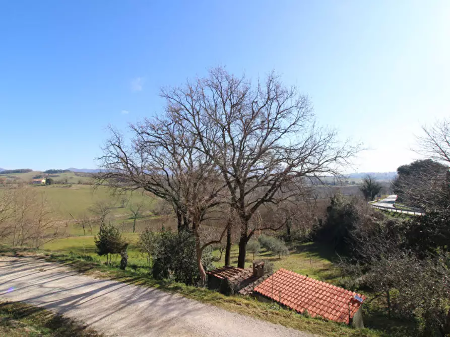 Immagine 13 di Casa indipendente in vendita  a Montecastrilli