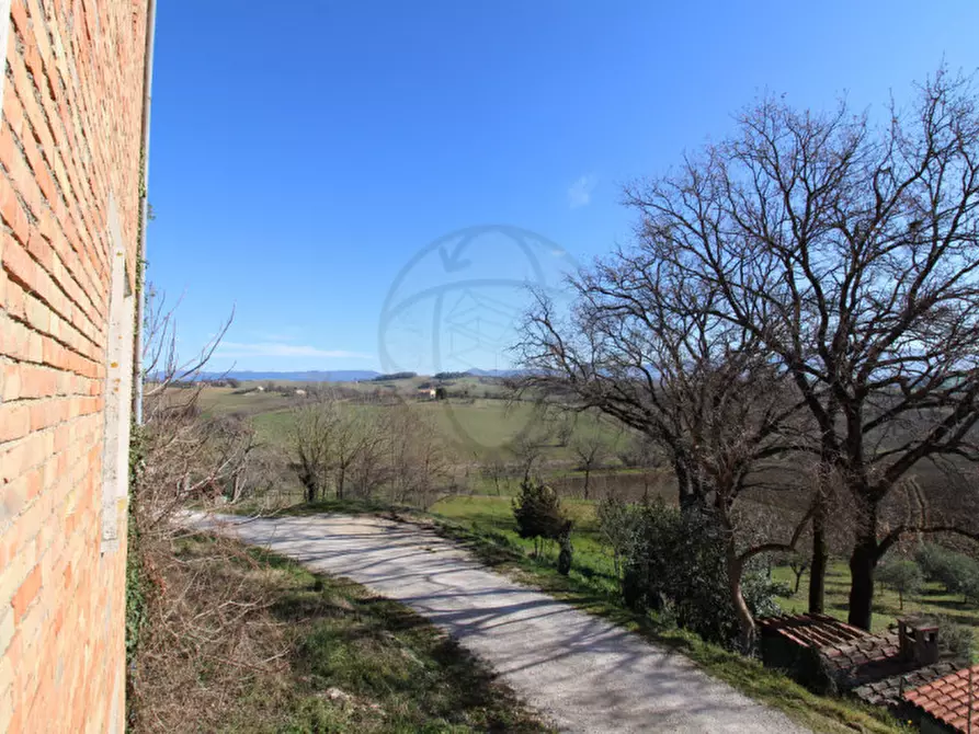 Immagine 14 di Casa indipendente in vendita  a Montecastrilli