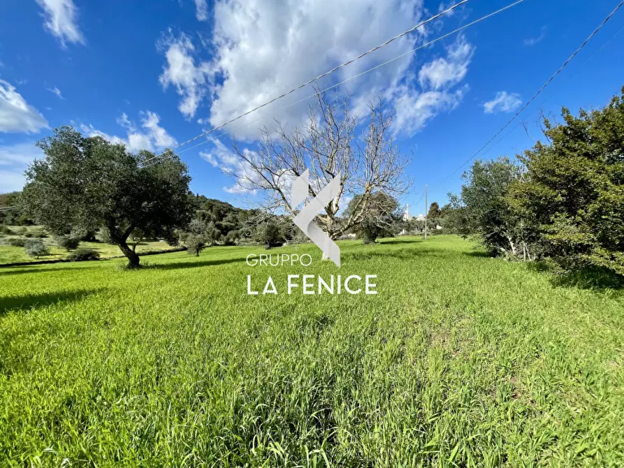 Immagine 6 di Rustico / casale in vendita  in contrada don peppe sole a Cisternino