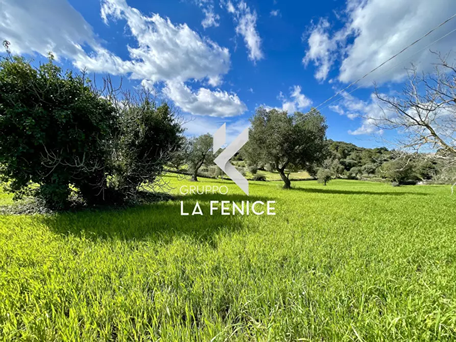 Immagine 7 di Rustico / casale in vendita  in contrada don peppe sole a Cisternino