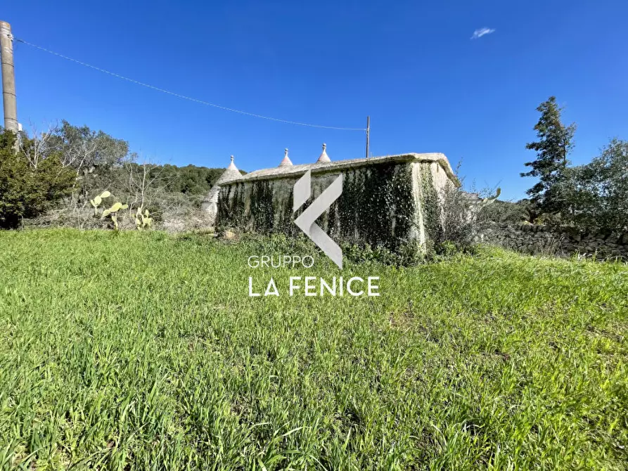 Immagine 8 di Rustico / casale in vendita  in contrada don peppe sole a Cisternino