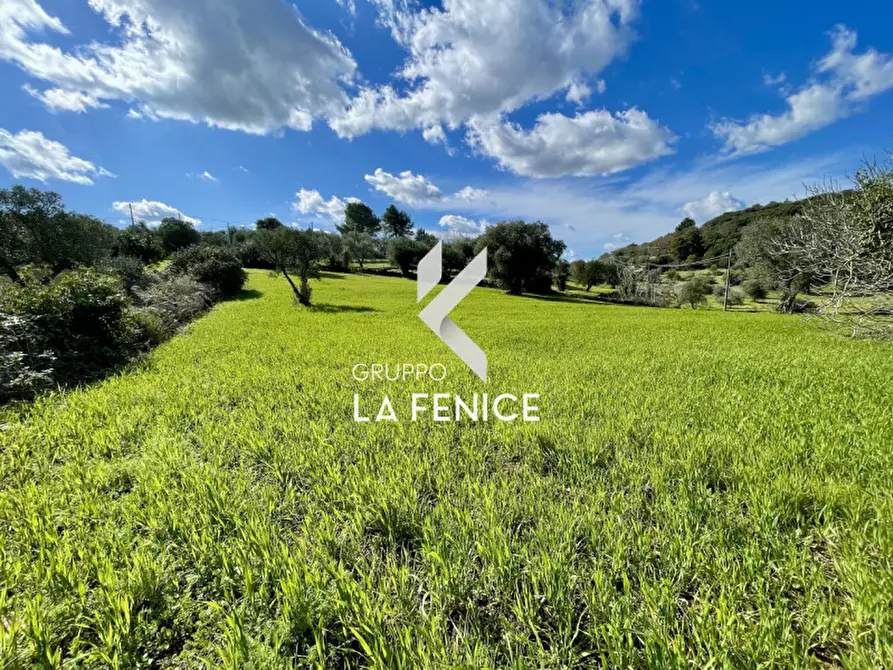 Immagine 10 di Rustico / casale in vendita  in contrada don peppe sole a Cisternino