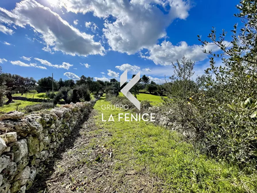 Immagine 23 di Rustico / casale in vendita  in contrada don peppe sole a Cisternino