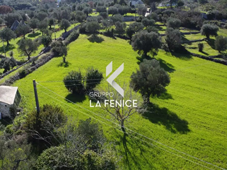 Immagine 28 di Rustico / casale in vendita  in contrada don peppe sole a Cisternino