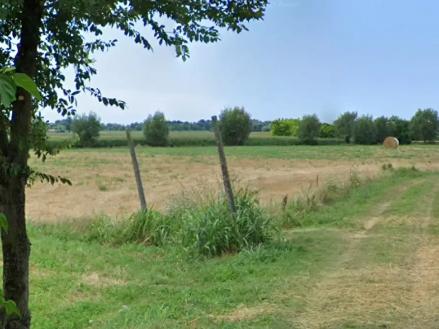 Immagine 2 di Terreno in vendita  in VIA ARGINE DEL TRIDELLO a Villa Estense
