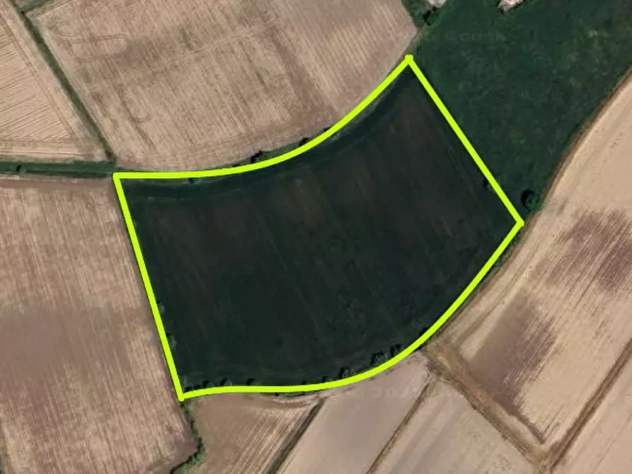 Immagine 3 di Terreno in vendita  in VIA ARGINE DEL TRIDELLO a Villa Estense