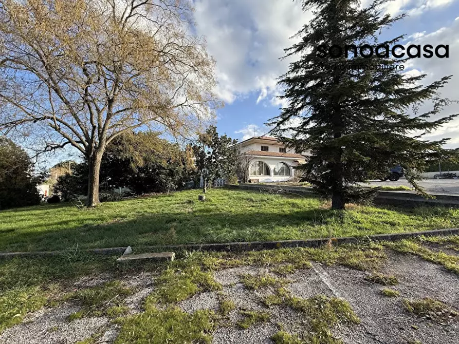 Immagine 3 di Attività commerciale in vendita  in Via Valcesano 130 a Mondolfo