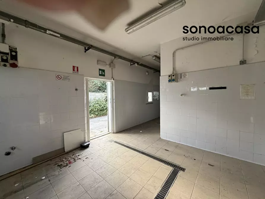 Immagine 15 di Attività commerciale in vendita  in Via Valcesano 130 a Mondolfo