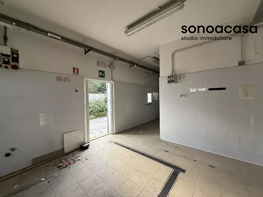 Immagine 16 di Attività commerciale in vendita  in Via Valcesano 130 a Mondolfo