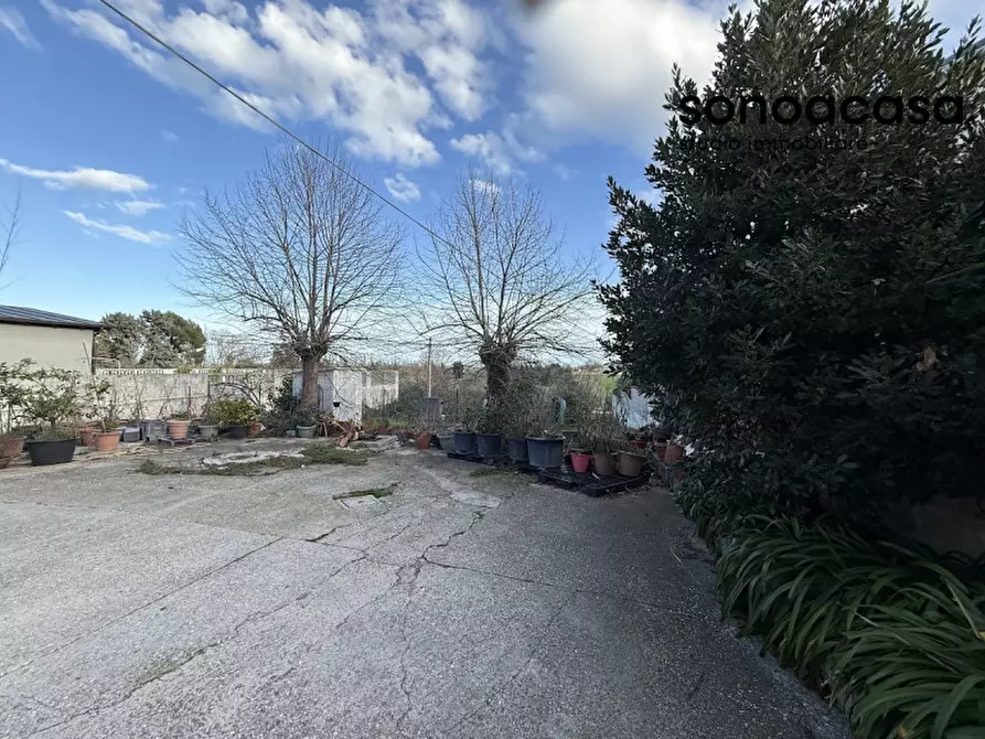 Immagine 17 di Attività commerciale in vendita  in Via Valcesano 130 a Mondolfo