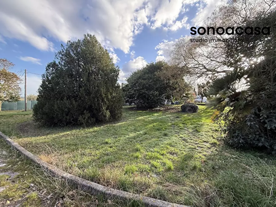 Immagine 21 di Attività commerciale in vendita  in Via Valcesano 130 a Mondolfo