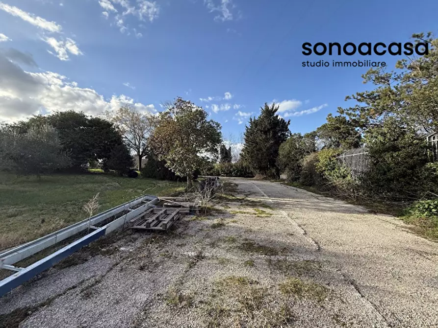 Immagine 22 di Attività commerciale in vendita  in Via Valcesano 130 a Mondolfo