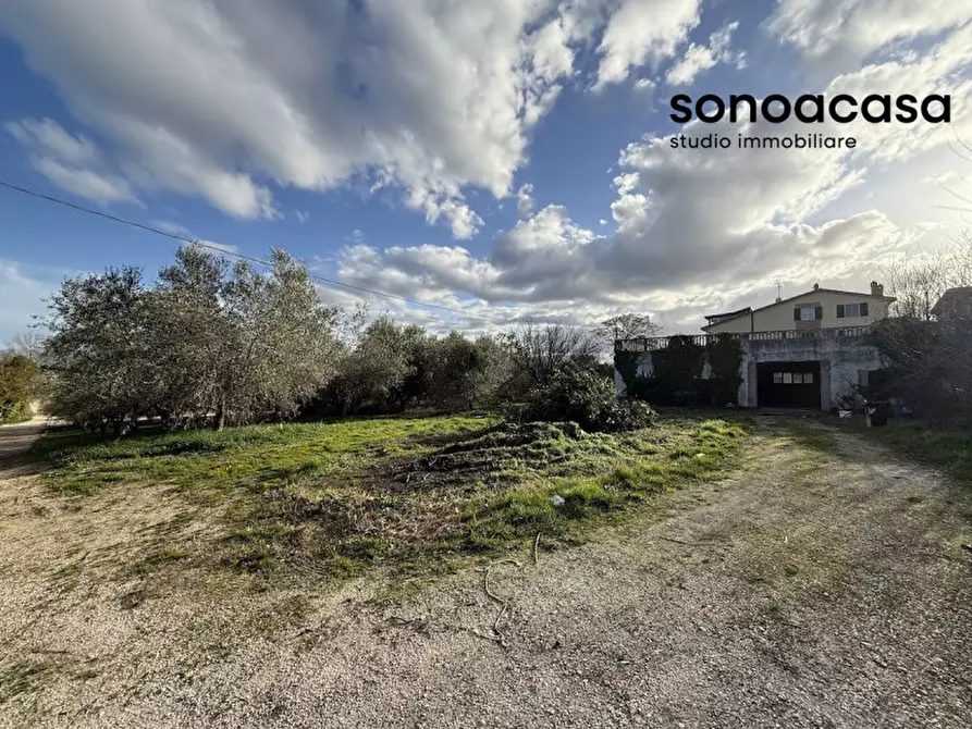 Immagine 23 di Attività commerciale in vendita  in Via Valcesano 130 a Mondolfo