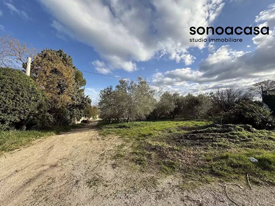 Immagine 24 di Attività commerciale in vendita  in Via Valcesano 130 a Mondolfo