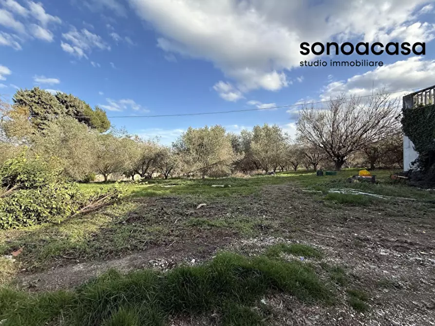 Immagine 25 di Attività commerciale in vendita  in Via Valcesano 130 a Mondolfo