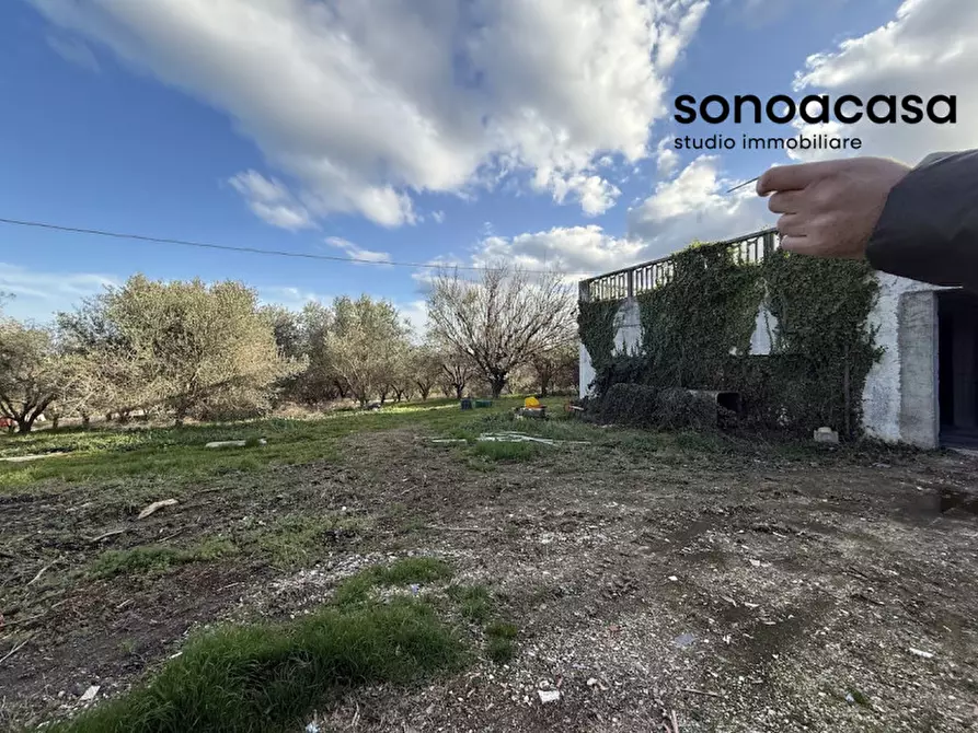 Immagine 26 di Attività commerciale in vendita  in Via Valcesano 130 a Mondolfo