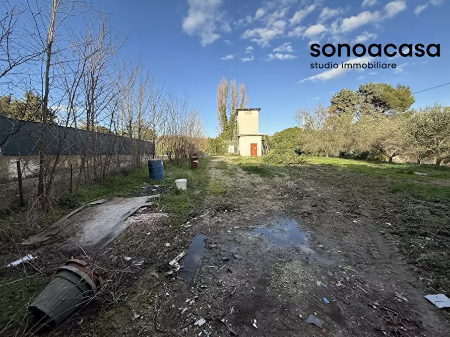 Immagine 32 di Attività commerciale in vendita  in Via Valcesano 130 a Mondolfo