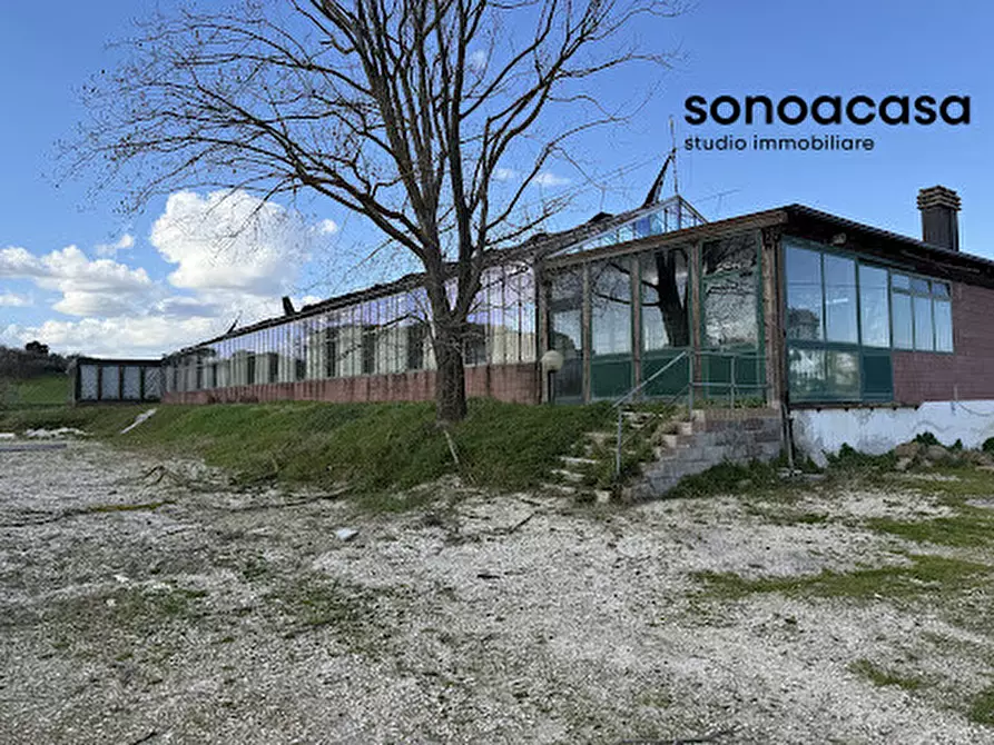 Immagine 1 di Capannone industriale in vendita  in Strada Statale Valcesano a Trecastelli