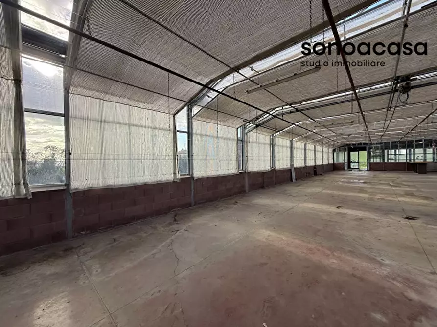 Immagine 2 di Capannone industriale in vendita  in Strada Statale Valcesano a Trecastelli