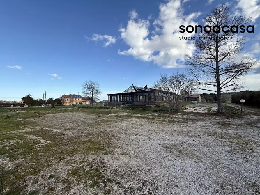 Immagine 3 di Capannone industriale in vendita  in Strada Statale Valcesano a Trecastelli