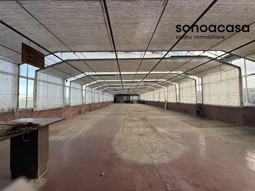 Immagine 3 di Capannone industriale in vendita  in Strada Statale Valcesano a Trecastelli