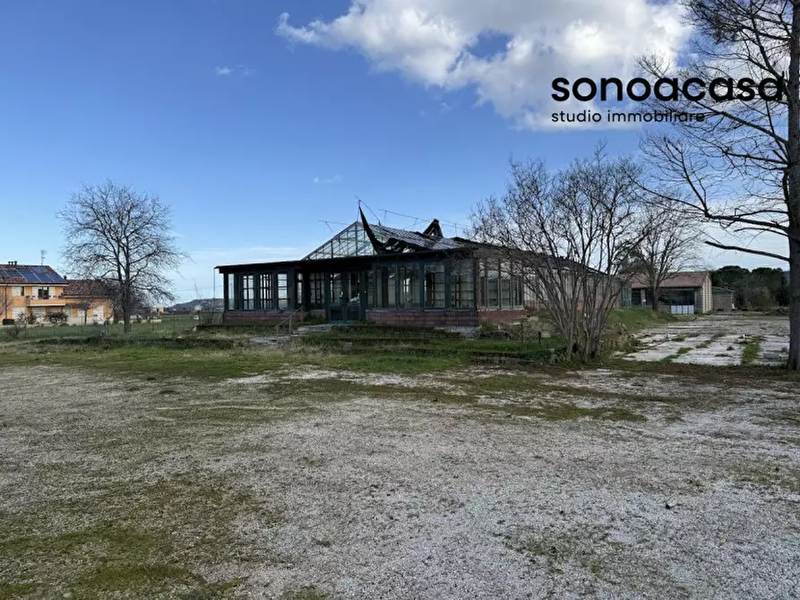 Immagine 4 di Capannone industriale in vendita  in Strada Statale Valcesano a Trecastelli