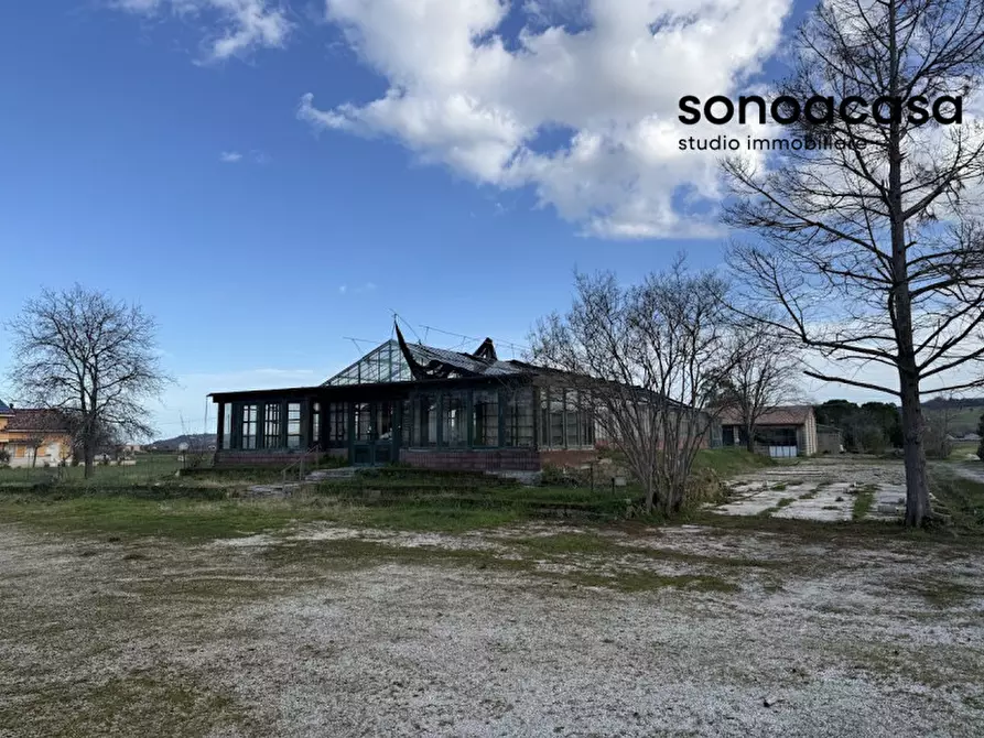 Immagine 5 di Capannone industriale in vendita  in Strada Statale Valcesano a Trecastelli