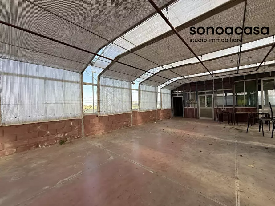 Immagine 7 di Capannone industriale in vendita  in Strada Statale Valcesano a Trecastelli