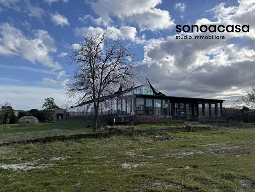 Immagine 11 di Capannone industriale in vendita  in Strada Statale Valcesano a Trecastelli