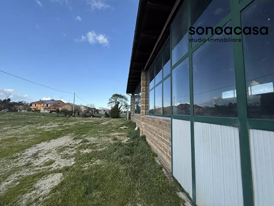 Immagine 19 di Capannone industriale in vendita  in Strada Statale Valcesano a Trecastelli