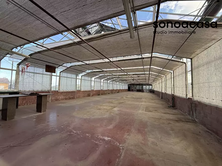 Immagine 21 di Capannone industriale in vendita  in Strada Statale Valcesano a Trecastelli