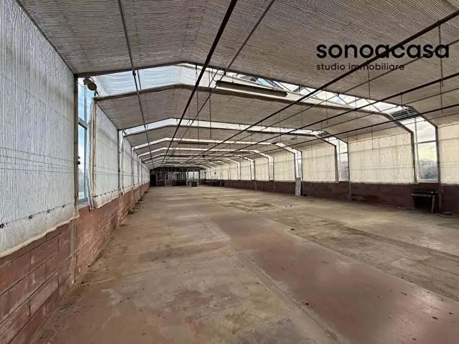 Immagine 23 di Capannone industriale in vendita  in Strada Statale Valcesano a Trecastelli