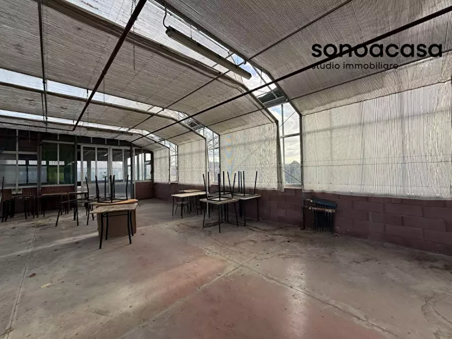 Immagine 25 di Capannone industriale in vendita  in Strada Statale Valcesano a Trecastelli