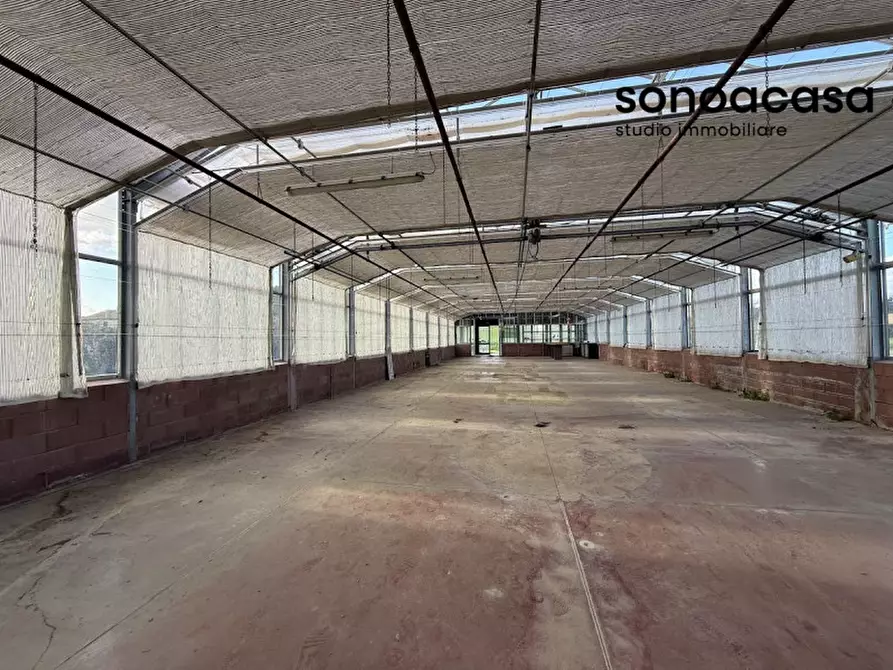 Immagine 27 di Capannone industriale in vendita  in Strada Statale Valcesano a Trecastelli