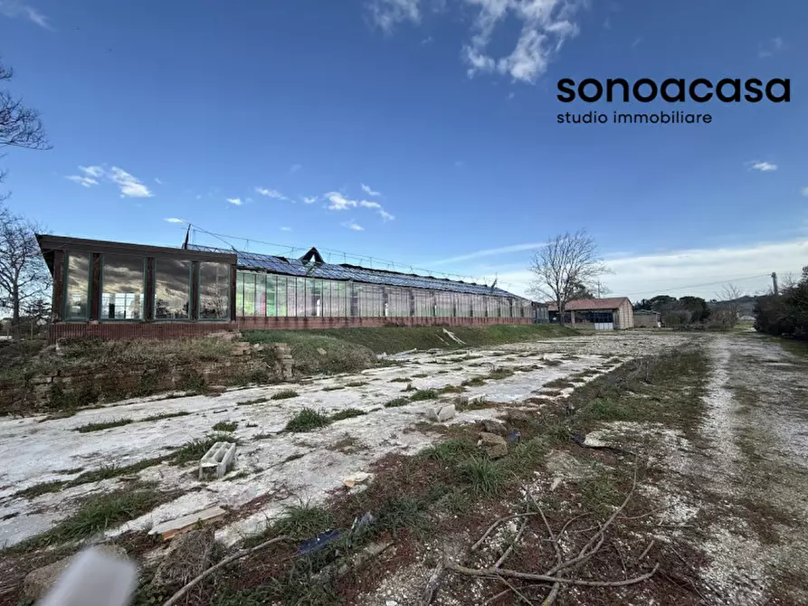 Immagine 28 di Capannone industriale in vendita  in Strada Statale Valcesano a Trecastelli