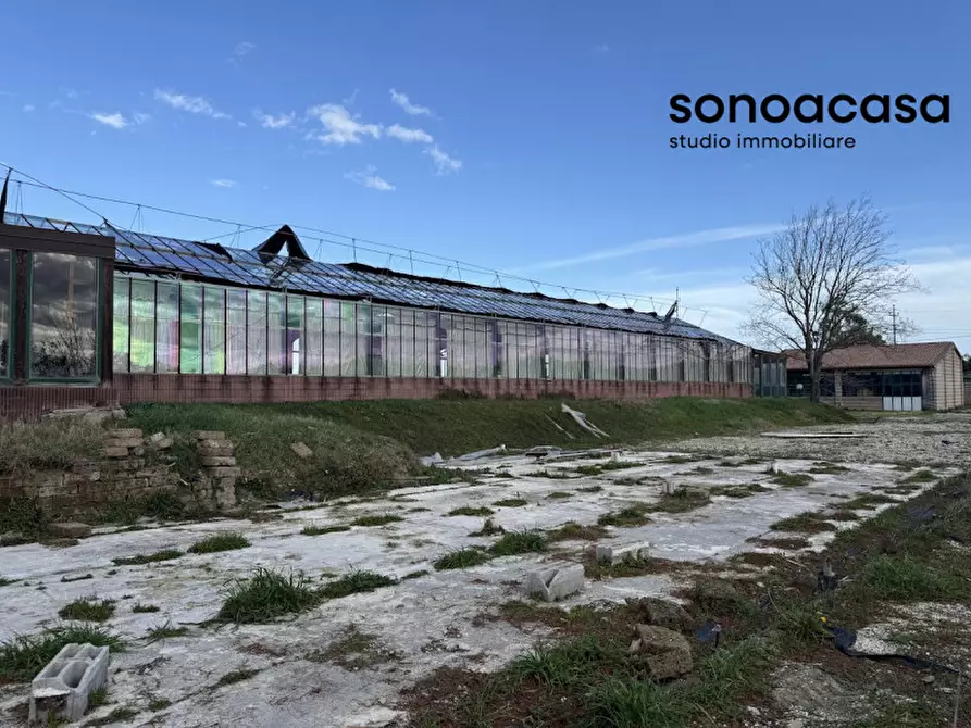 Immagine 29 di Capannone industriale in vendita  in Strada Statale Valcesano a Trecastelli