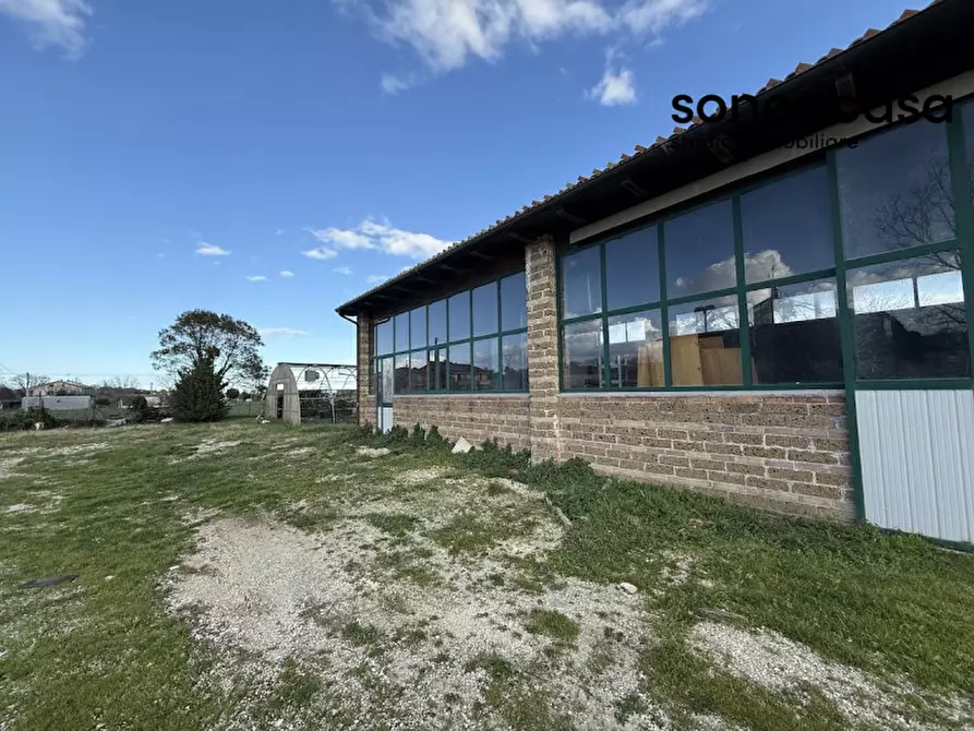 Immagine 32 di Capannone industriale in vendita  in Strada Statale Valcesano a Trecastelli