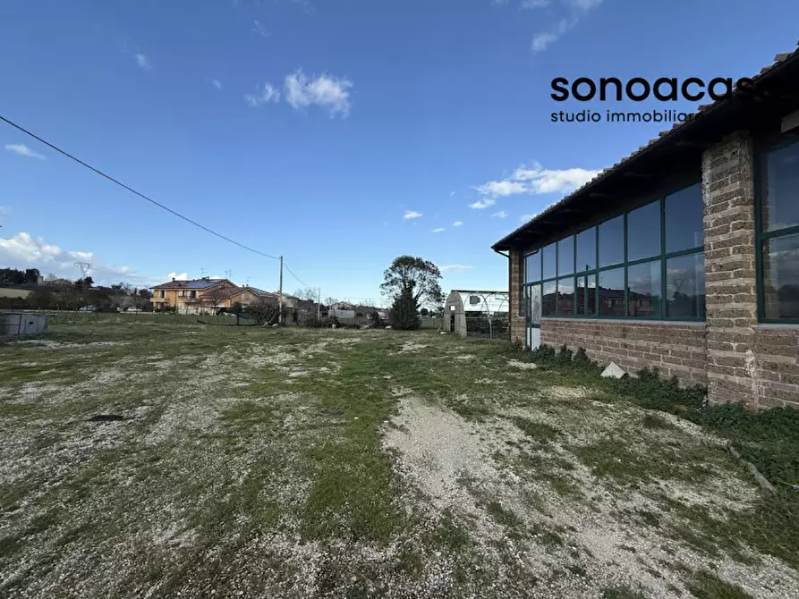 Immagine 33 di Capannone industriale in vendita  in Strada Statale Valcesano a Trecastelli