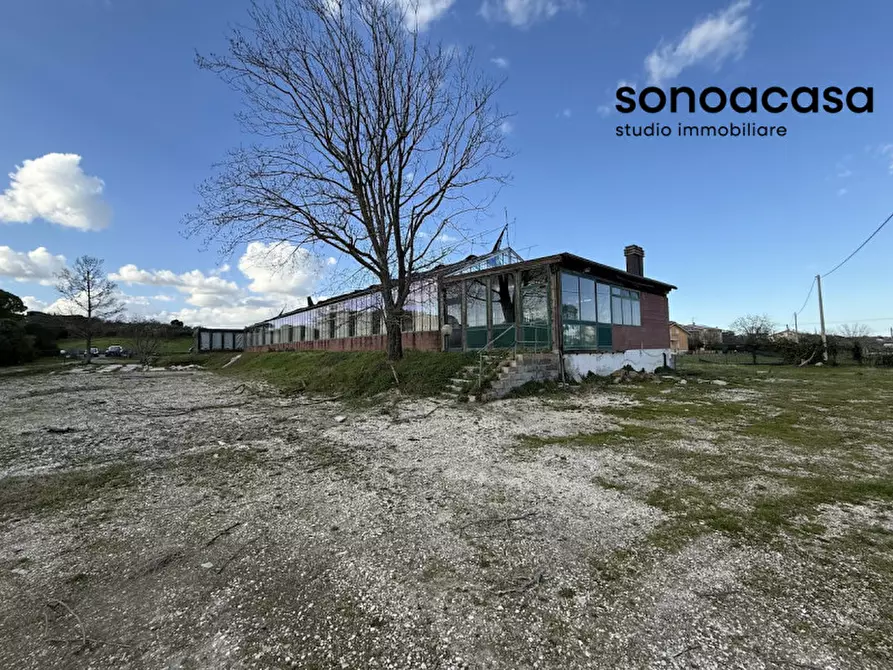 Immagine 48 di Capannone industriale in vendita  in Strada Statale Valcesano a Trecastelli