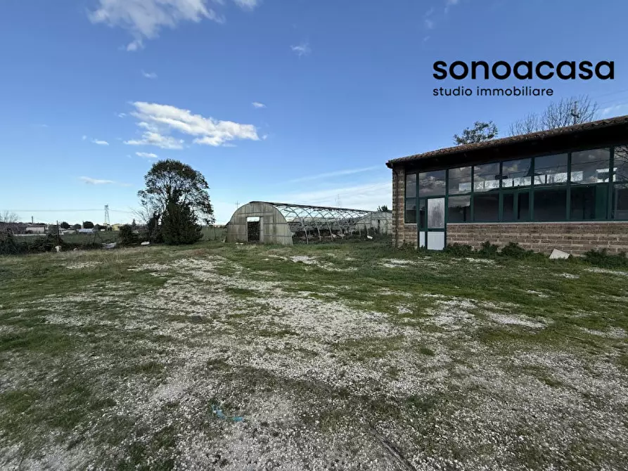 Immagine 51 di Capannone industriale in vendita  in Strada Statale Valcesano a Trecastelli