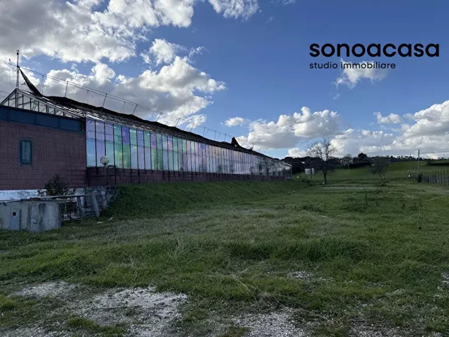 Immagine 55 di Capannone industriale in vendita  in Strada Statale Valcesano a Trecastelli