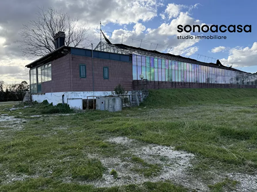 Immagine 58 di Capannone industriale in vendita  in Strada Statale Valcesano a Trecastelli