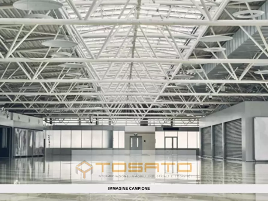 Immagine 4 di Capannone industriale in affitto  a Cavaion Veronese