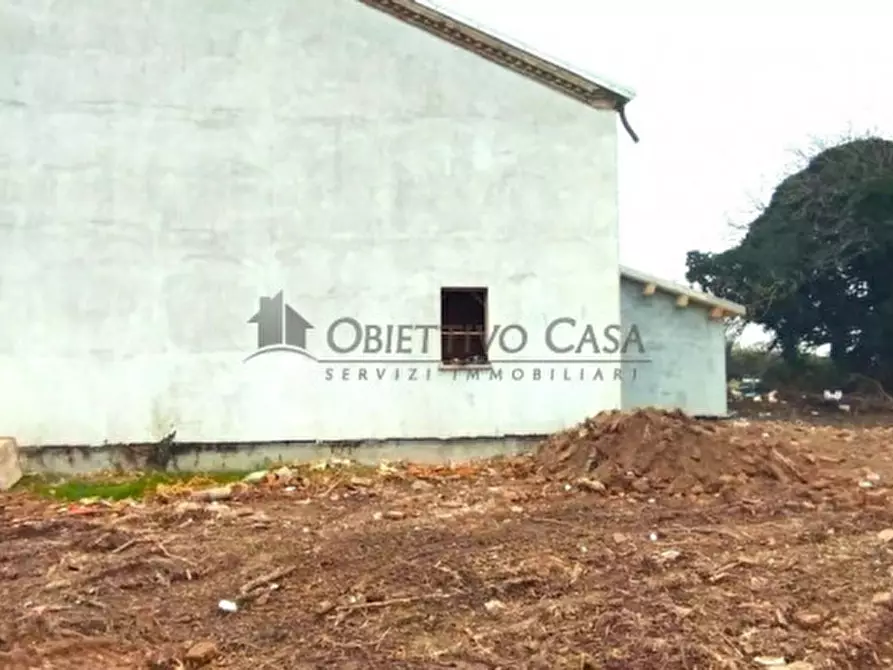 Immagine 6 di Casa trifamiliare in vendita  in Via Candiana a Pontelongo